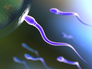 esperma