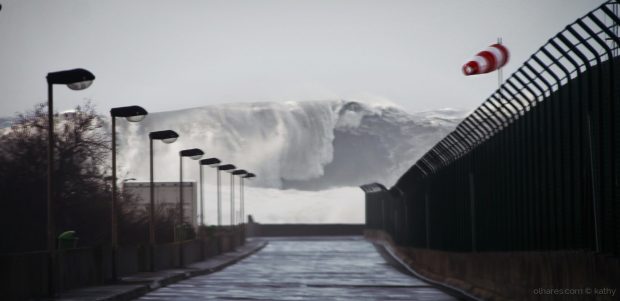 7 imagens para pensar 2 vezes antes de nadar nesse verão