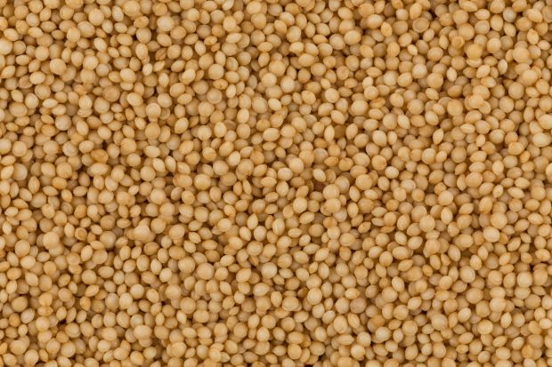 Bunge faz anúncio de CEO interino e diminui previsão de lucros para 2018