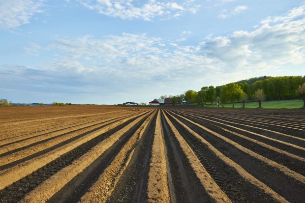 Recorde em 2018 para o agro brasileiro! 3 produtos de destaque