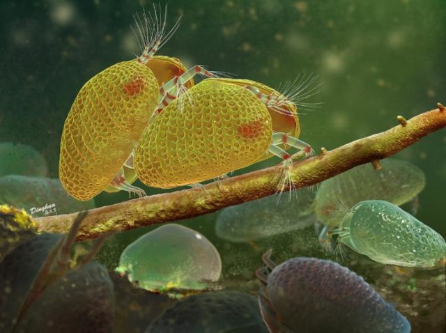 Paleontólogos descobrem espermatozoide ‘gigante’ de 100 milhões de anos