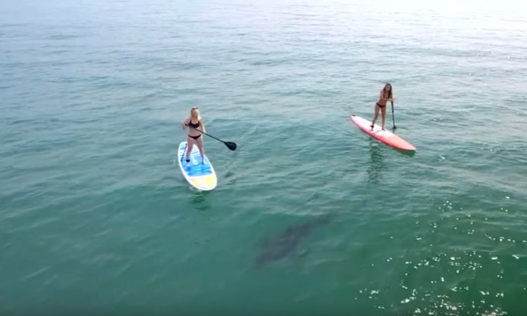 Imagens incríveis de drones mostrando cenas chocantes em todo o mundo