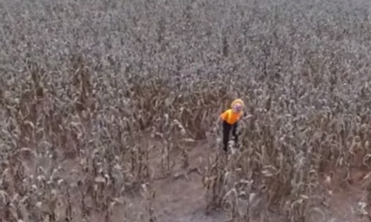 Imagens incríveis de drones mostrando cenas chocantes em todo o mundo