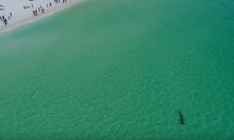 Imagens incríveis de drones mostrando cenas chocantes em todo o mundo