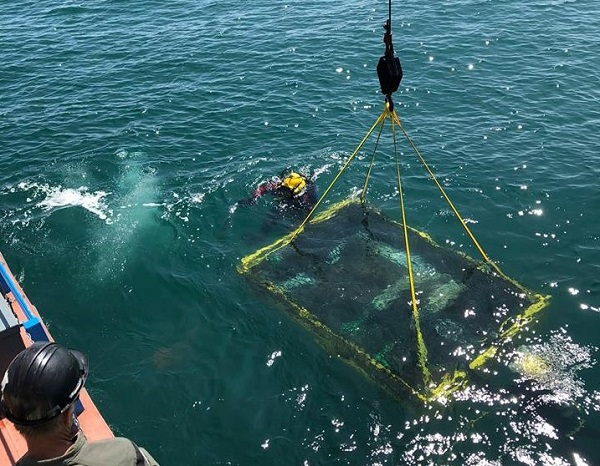 Um pequeno submarino foi encontro um objeto misterioso no Lago Ontário